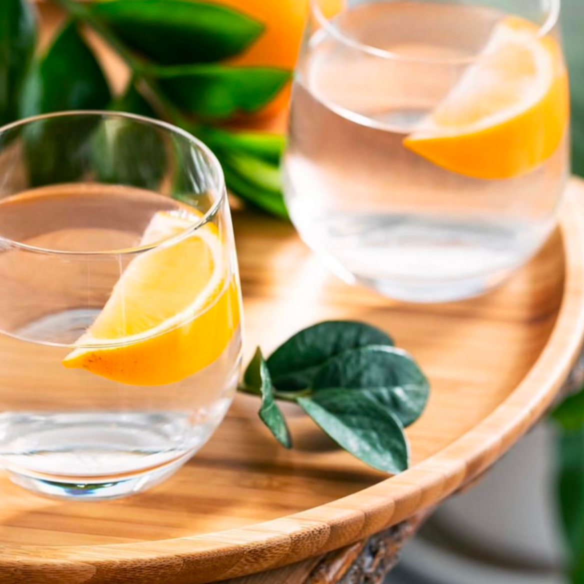 Wilmax Belly Glass Cups