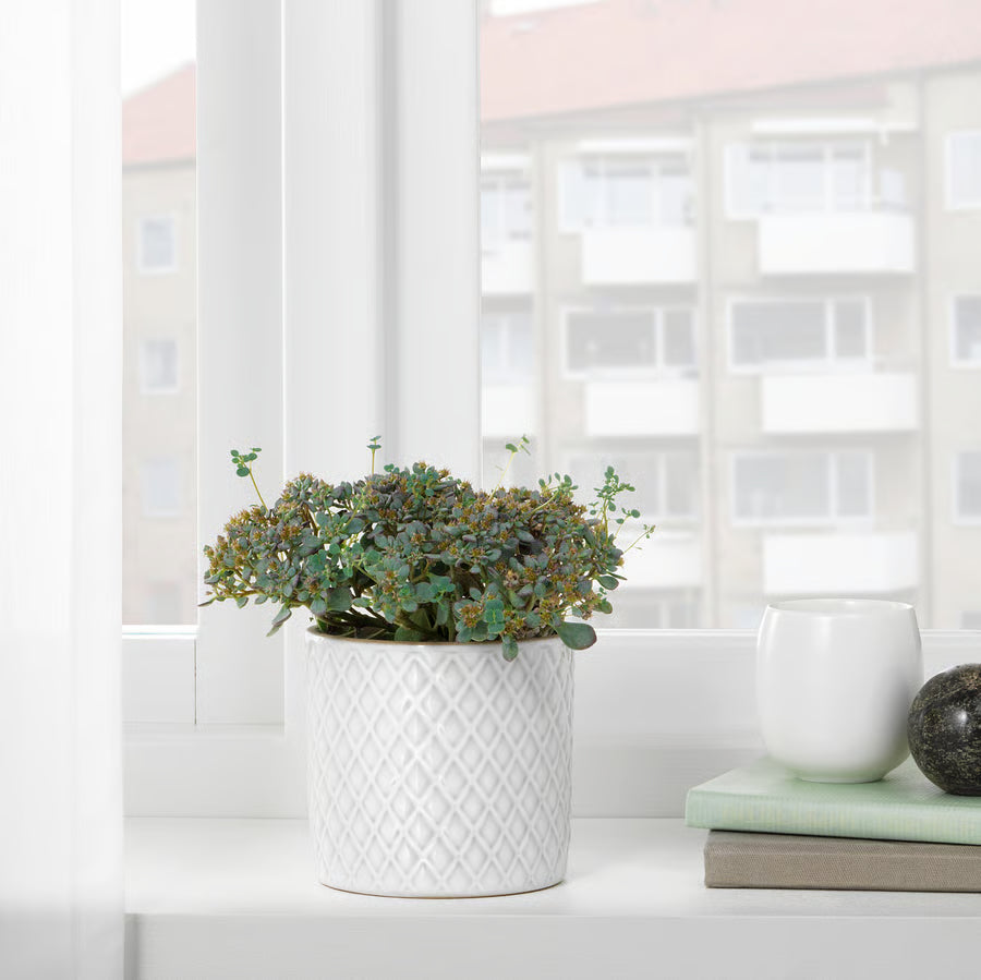 IKEA Plant Pot