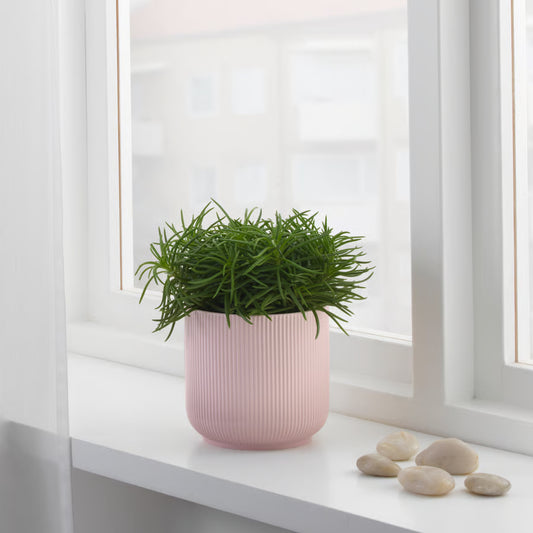 IKEA Plant Pot