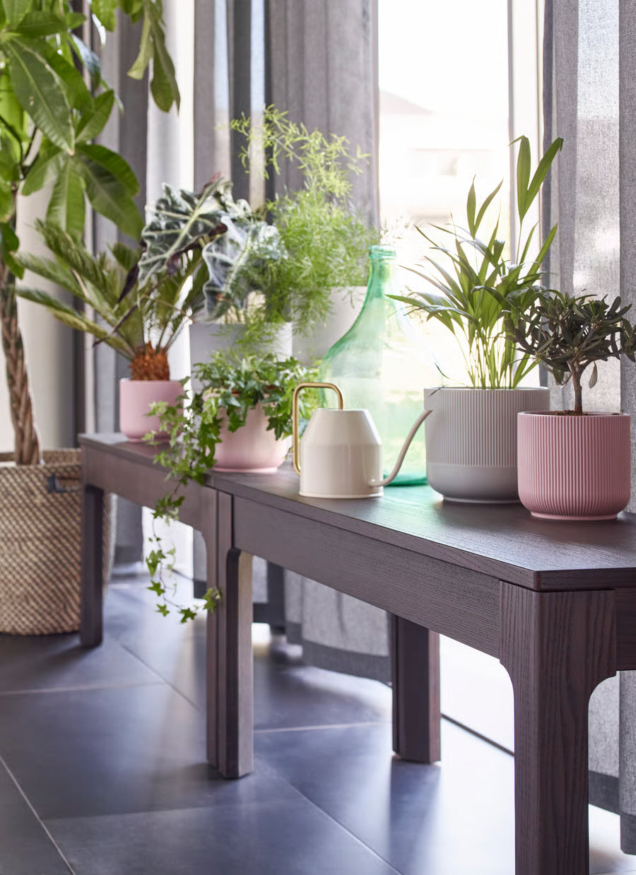 IKEA Plant Pot