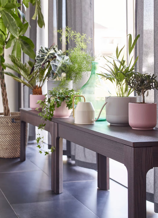 IKEA Plant Pot