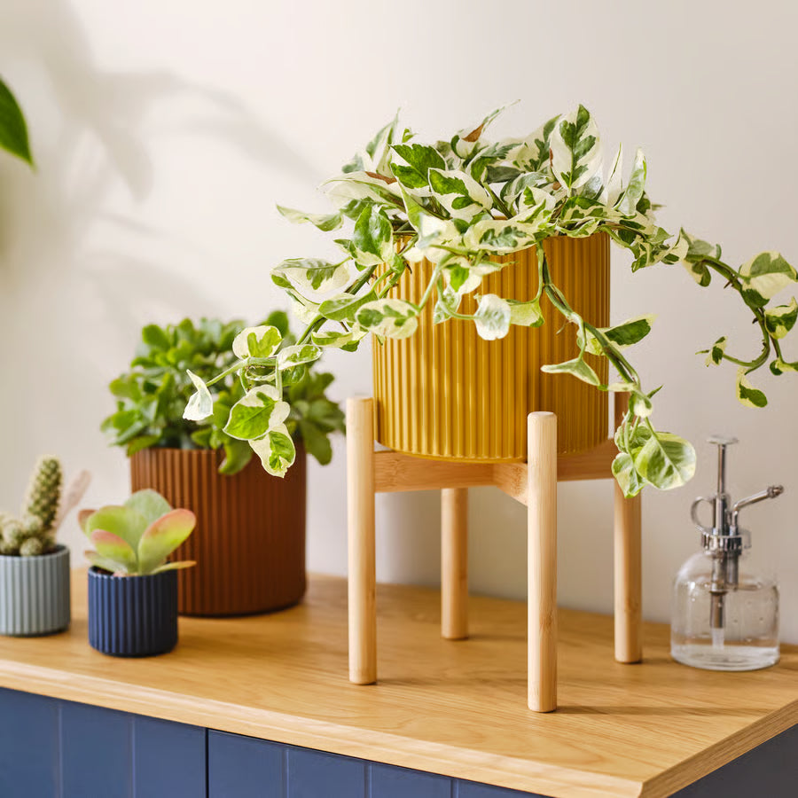 IKEA Plant Pot