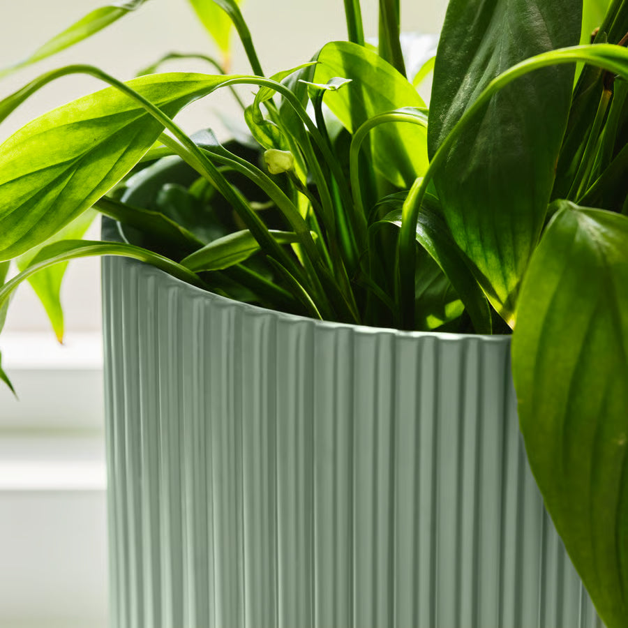 IKEA Plant Pot