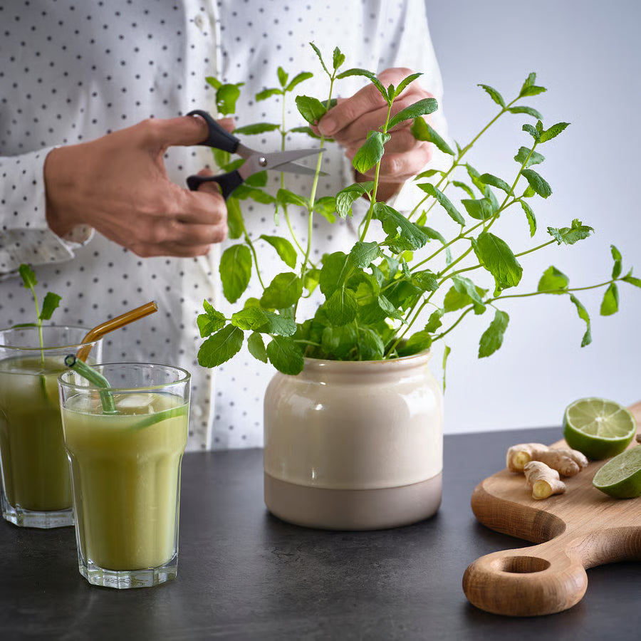 IKEA Jar