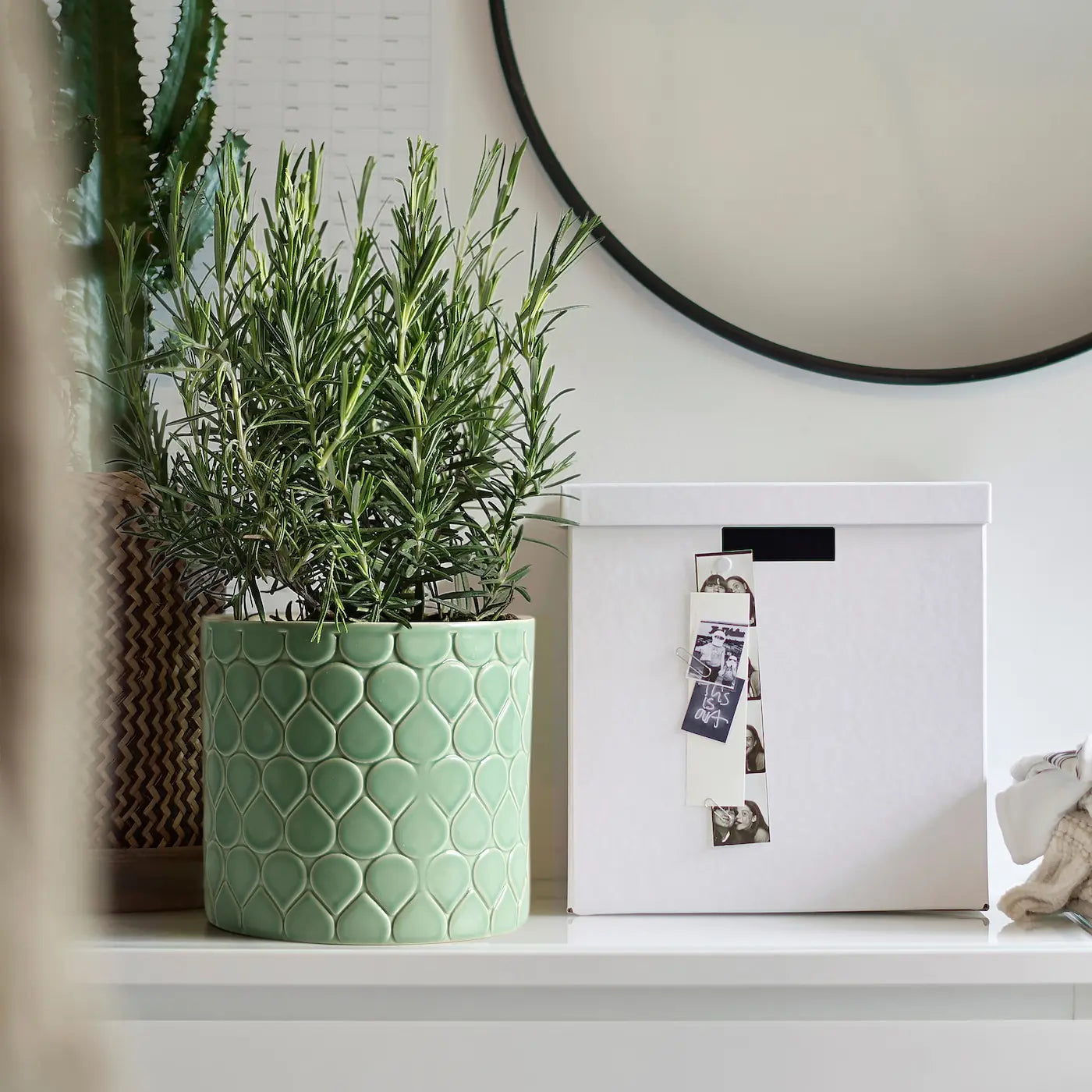 IKEA Plant Pot