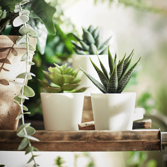IKEA Artificial Plant