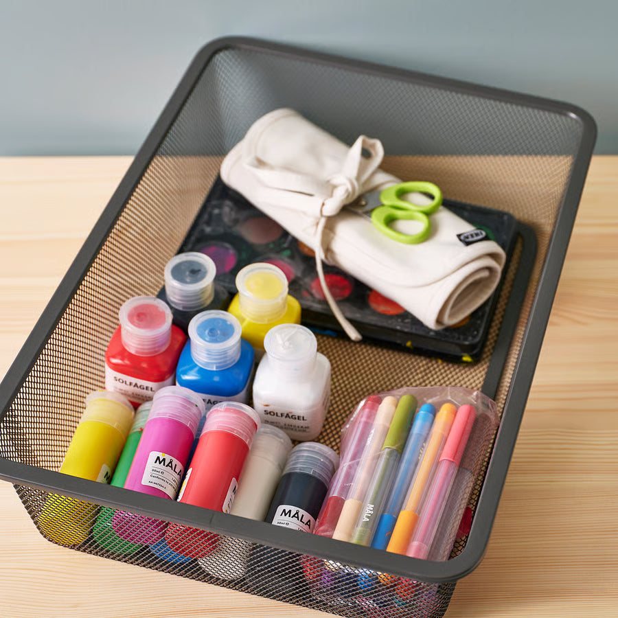 IKEA Trofast Storage Box